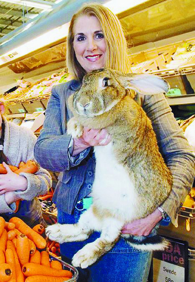 世界最大兔子死了(图)