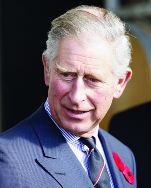 保镖掏腰包为英国王储付旅费