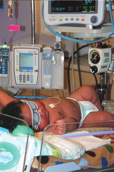 11�գ�����С�ӡ������������໤�ҡ�ͼ/����ͼƬ