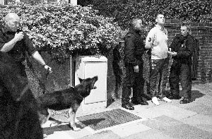 10�գ��׶أ��������Ѳ��ж��д���һ�����ӡ�