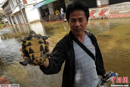 10月28日，曼谷面临被洪水“淹没”的危险，当地的僧侣和士兵加紧在建筑周围堆放沙包，但在曼谷多个主要景区已经有没踝深的积水。图为泰国曼谷唐人街的积水。