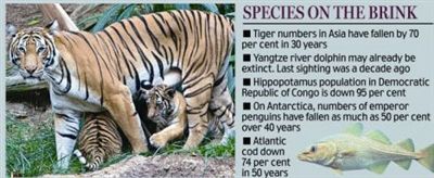 春节前密集“闭门谢客”！超150只基金暂停申购资金布金年会- 金年会体育- 金年会官方网站局需趁早