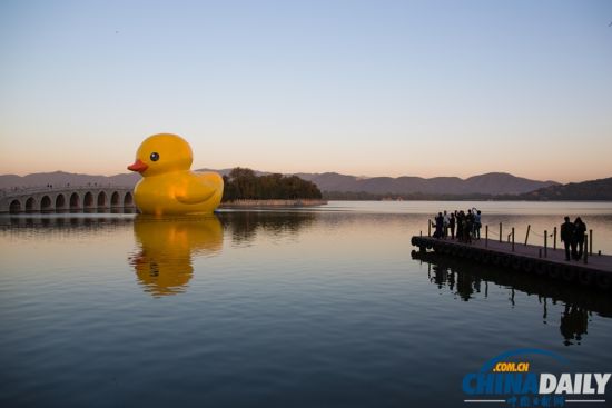 大黄鸭入驻颐和园第一天 意外漏气畅饮昆明湖