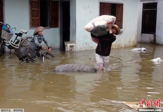 越南暴雨引发洪水已致41人死亡 农田遭毁坏_新浪新闻