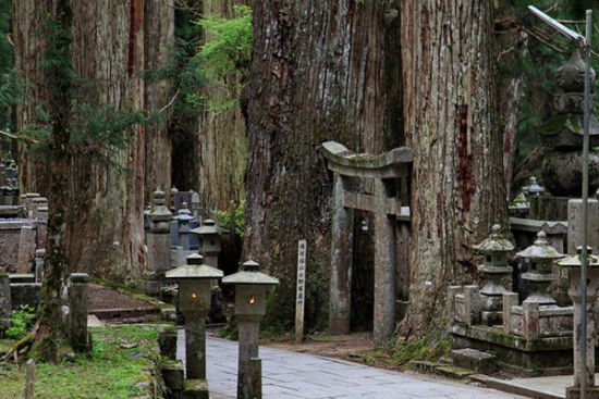 第7名:高野山奥之院(和歌山县高野町)日本武士的修炼是精神和身体的
