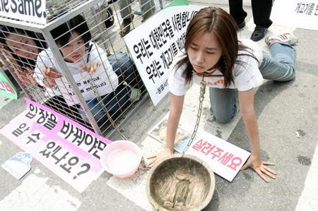 图文:韩国动物权益保护者扮狗抗议吃狗肉