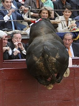 一度的斗牛表演,图为马德里市长(前排左二)在表演现场一脸惊恐的表情