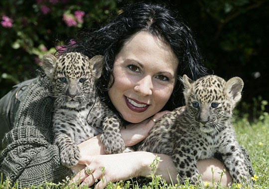 组图：非洲猎豹幼仔与小猩猩成好友_新闻中心_新浪网