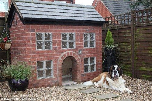 朱利安为爱犬建造了一栋豪华犬舍