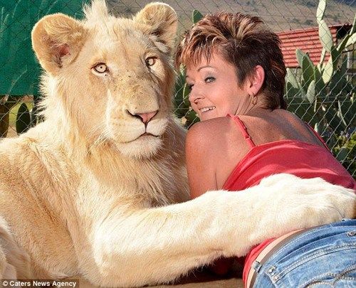 Сʱ���͢��ϲ�������ڰ��ݴ��ϴ�������ڣ�͢�͸�ϲ�����Ű�������ɳ���ϡ�