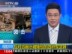 利比亚反对派展示被摧毁的政府军武器