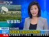多国军事力量集结地中海逼近利比亚