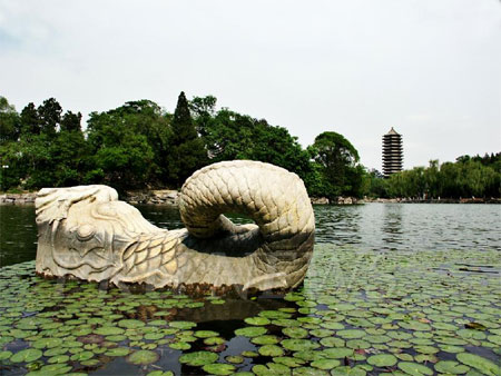 北大校园风景:未名湖翻尾石鱼(图)