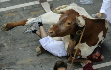 西班牙狂欢节局面失控 公牛再造血案(组图)
