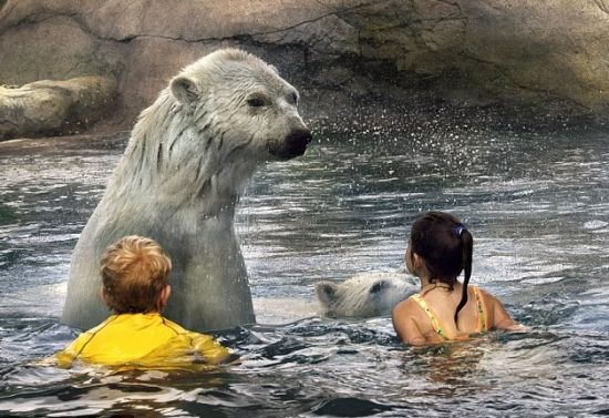 �ͱ�����һ��ϴ��