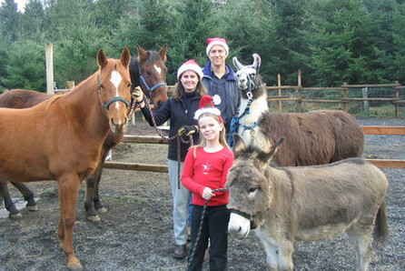 ��䶼����