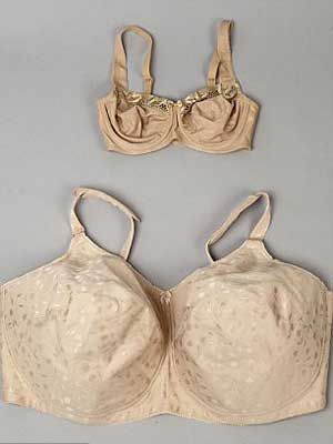 2011 model: The larger Bra is a 48N size and is seen compared to a more average, 34C Bra, also by Rigby and Peller(dailymail.co.uk)