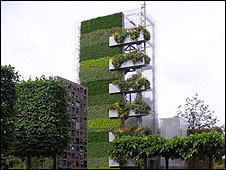 A green wall in London