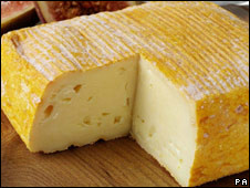 A block of vieux bologne cheese