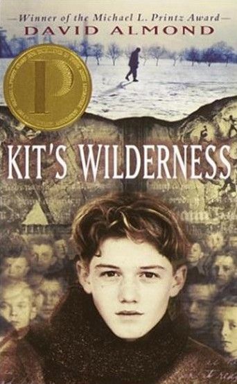 历年获得【国际安徒生奖】的优秀童书(图)_新浪教育_新浪网