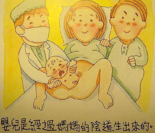 漫画图解:香港幼儿园的性教育图书