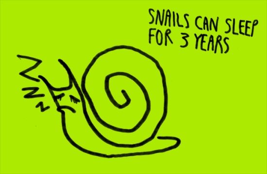 Snails can sleep for 3 years