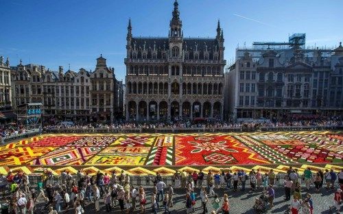 比利时首都现鲜花地毯 60万朵花铺成