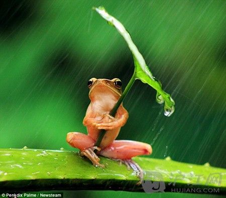 ӡ����Ӱʦ�������ܴ�ɡ���²�