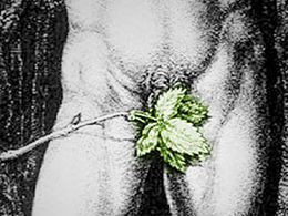 ���˹�����