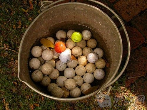 10. Golf Ball Diver 10. ߶ǱˮԱ Golf ball divers have to search for the lost golf balls in the waters of golf courses. Around 2,000-5,000 balls can be collected by a golf ball diver every day. ߶ǱˮԱҪڸ߶ǱˮȥѰЩ򶪵һпҵ2000-5000