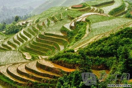 8. Dazhai, Guangxi Province ʡկ Not technically a city, but Dazhai is the best destination in China to enjoy fresh food as well as a stunning natural landscape on one trip. կϸ˵һУﲻ͵Ȼ⣬ƷʵɫʳƷ