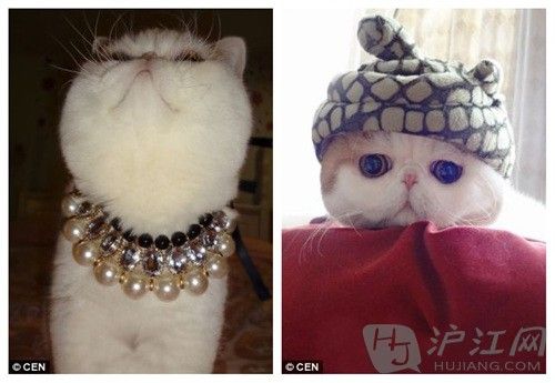 Snoopybabe shows off a necklace (left) and models a woolly hat (right). SnoopybabeչʾԼͼñӰͣͼ
