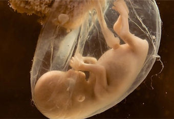 ���˹�����