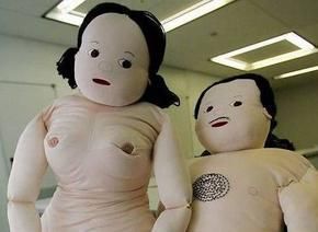 图为日本市场上的性教育娃娃。