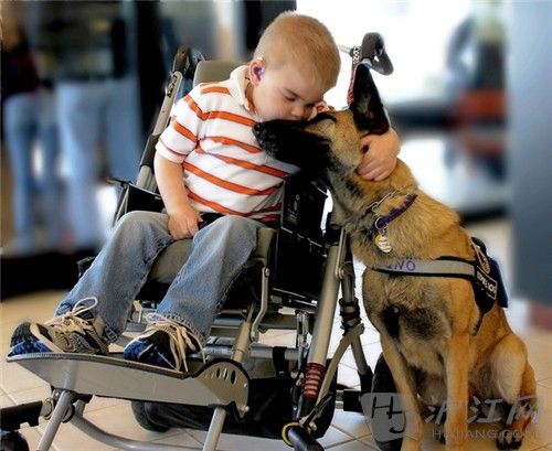 11. The loving scene of Lucas Hembree and his service dog Juno. һ¬˹಼ĵäȮŵаա