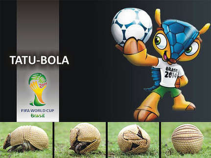 Fuleco, with its message of environmental concerns, the ecology and the sport, turned out to be very popular with football teams around the world.