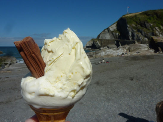 ֶͱ(Cornwall - Clotted Cream Ice Cream)