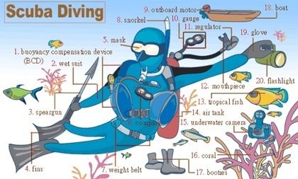 Scuba Diving Ǳˮ