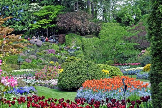 Butchart Gardens, Victoria, British Columbia, Canada ôʫʡάеĲ»԰ Tip: Butchart Gardens was originally an exhausted limestone quarry before it was covered with topsoil and transformed into one of the worlds most beautiful gardens. Remember, even the worst plot of land can become a verdant oasis. ʿ»԰ԭһķϵʯʯɿ󳡣Ÿ˱Ļ԰֮һסʹҲԳΪޡ