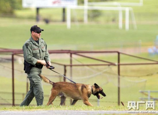 美国西弗吉尼亚州Philipp，一名警察牵着警犬在校园里巡逻。