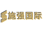 ʩǿ����