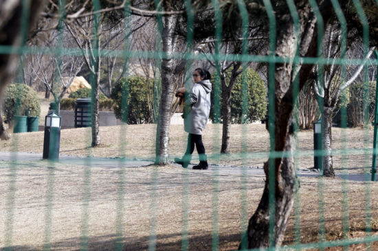 何洁挺大肚遛狗 称不会因为怀孕而遗弃 