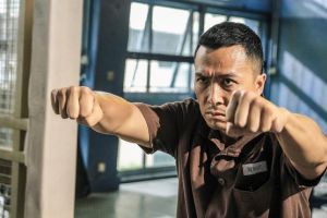 《一个人的武林》:甄子丹尚能打否？