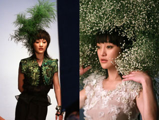 ��Ѹ�Ļ�����Ƭ�����ع�#ͷ��֦Ҷ����������