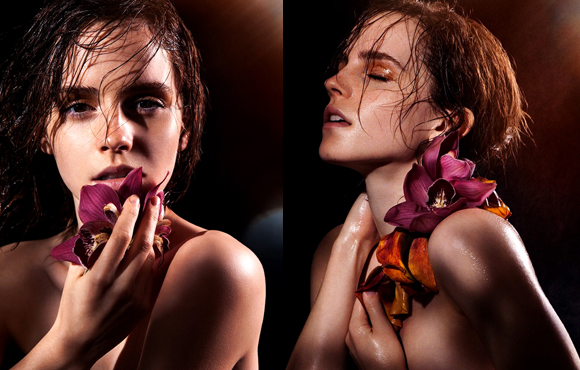 ����������������ɭ�����ջ��������