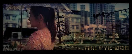 ����ͼƬ����Ӱ��Ұ-��Ȯ�����ʾ���(1)