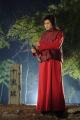 资料图片：《玫瑰江湖》第二批剧照(40)