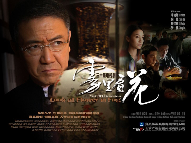 资料图片:电视剧《雾里看花》精美海报