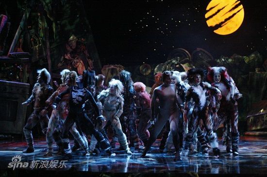 资料:音乐剧《猫》09巡演-月夜下猫族的狂欢