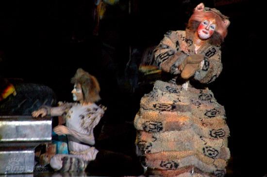 图文:音乐剧《猫》北展首演--保姆猫可爱装扮